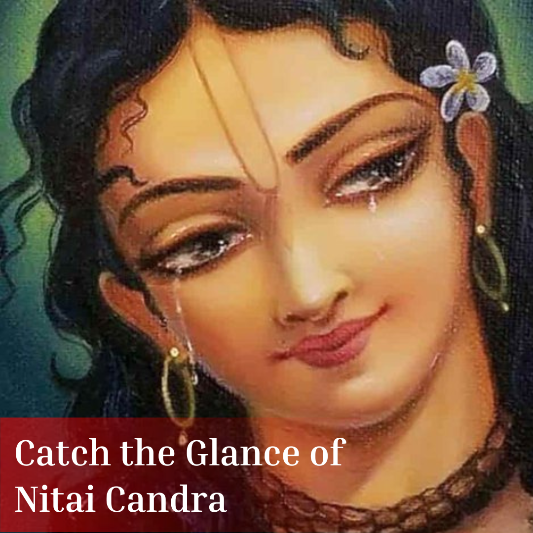 catch the glance of nitai candra